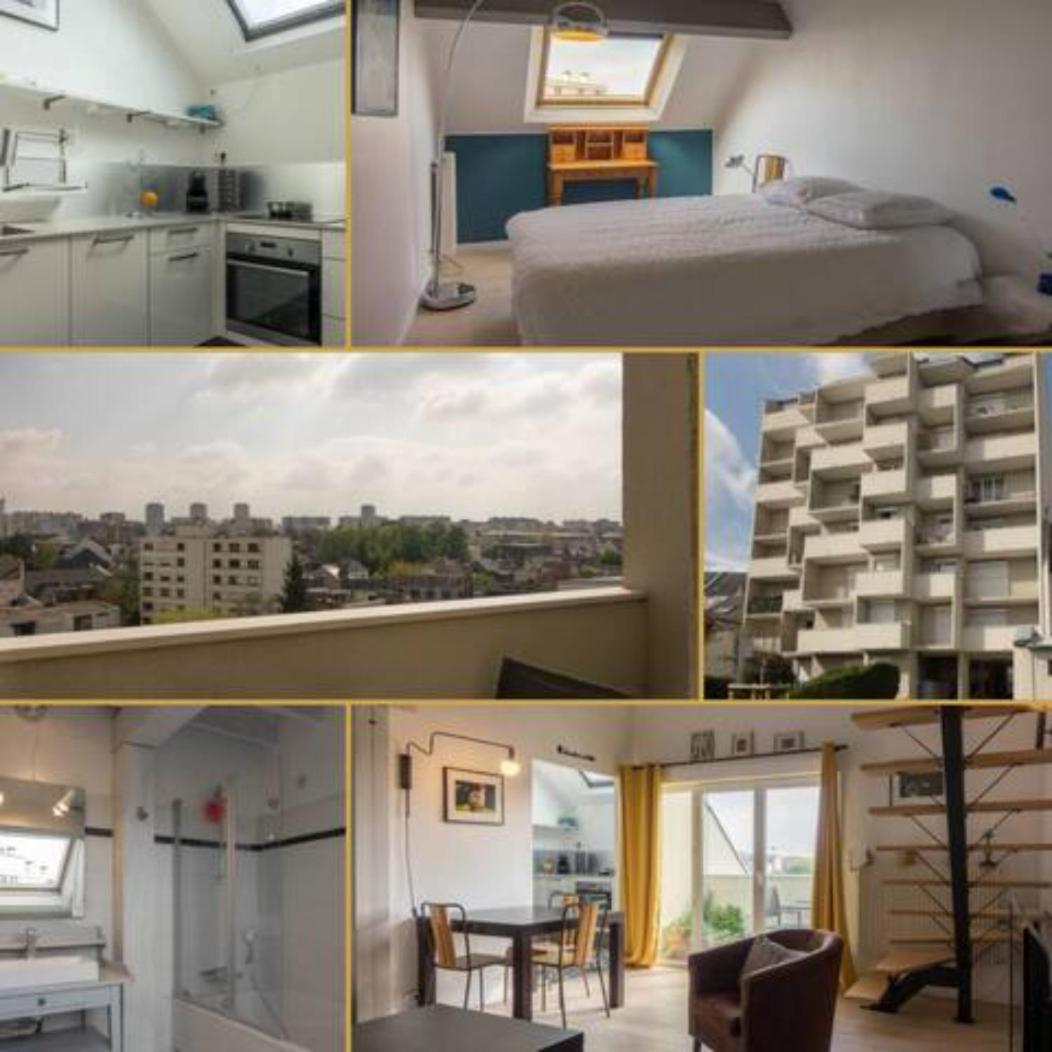 奥尔良Le Duplex Ensoleille Du Parc * Parking * Balcon *公寓 外观 照片