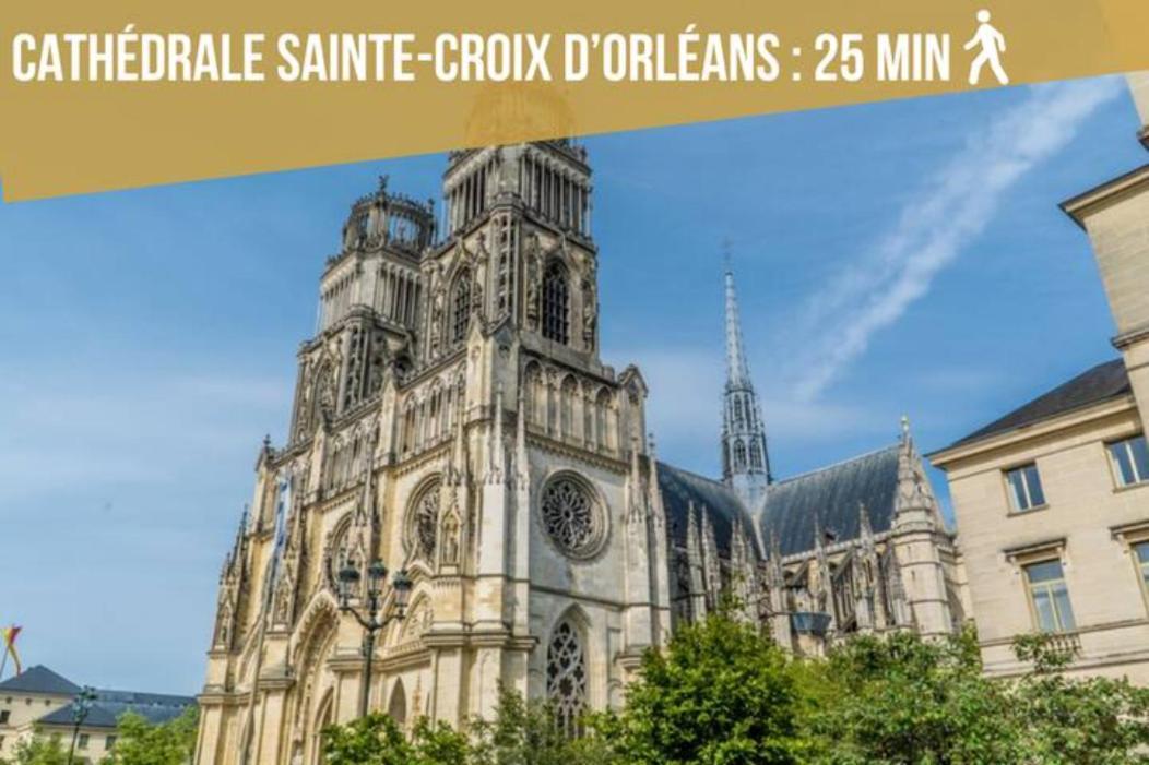 奥尔良Le Duplex Ensoleille Du Parc * Parking * Balcon *公寓 外观 照片